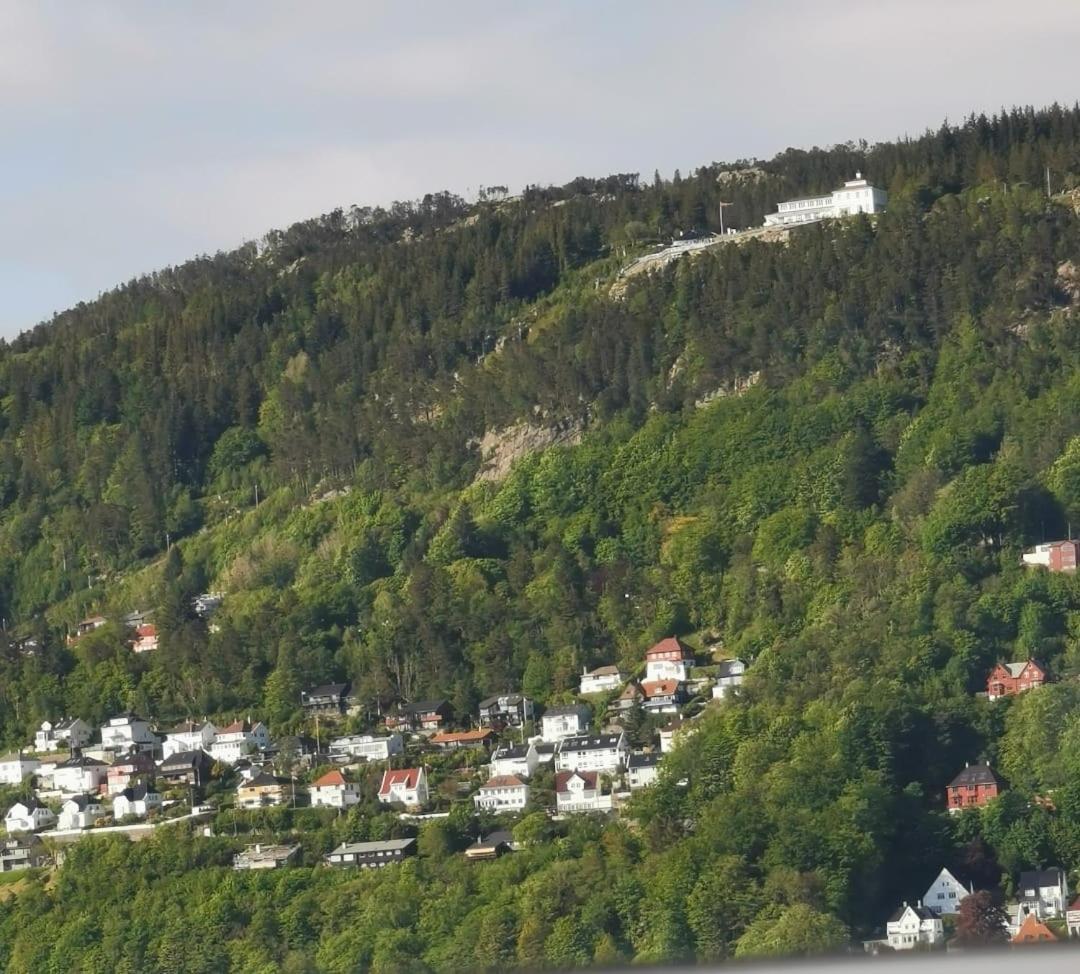 Spacious And Beautiful Apartment In Bergen With Free Parking Eksteriør billede